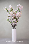 Körsbärskvist | Ljusrosa (95cm) – konstblomma från OONA